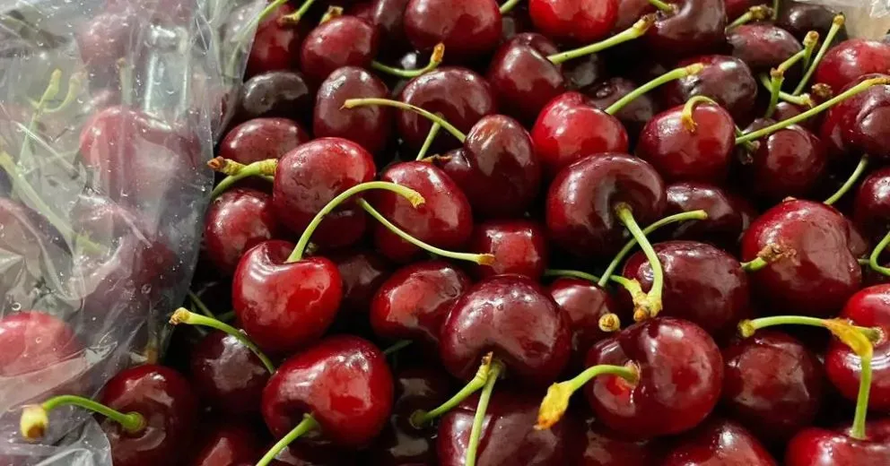 En octubre se realizaron los primeros envíos a Chile. También se abrió el mercado en Colombia, Perú y Panamá.