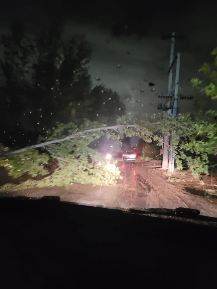 Destrozos en toda la zona del Valle provocó el fuerte temporal. Foto (Edersa).