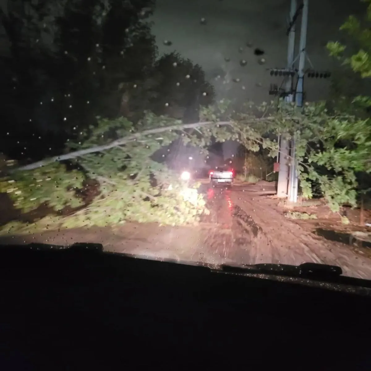 arboles cayeron sobre los cables