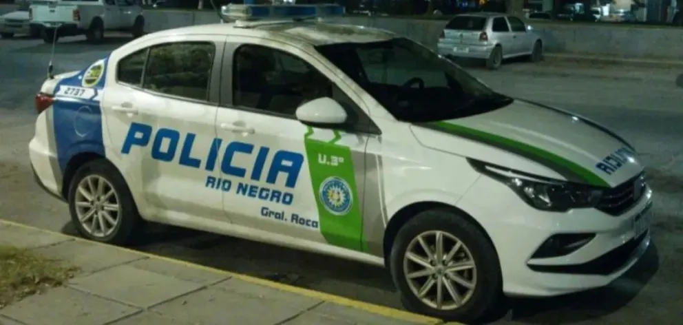 Los autores del hecho fueron una mujer y un hombre 40 y 35 años respectivamente. (Foto: gentileza).