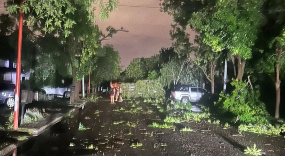 Se registraron vientos de hasta 105 km/h y más de 28.5 mm de agua caída (Foto: gentileza).