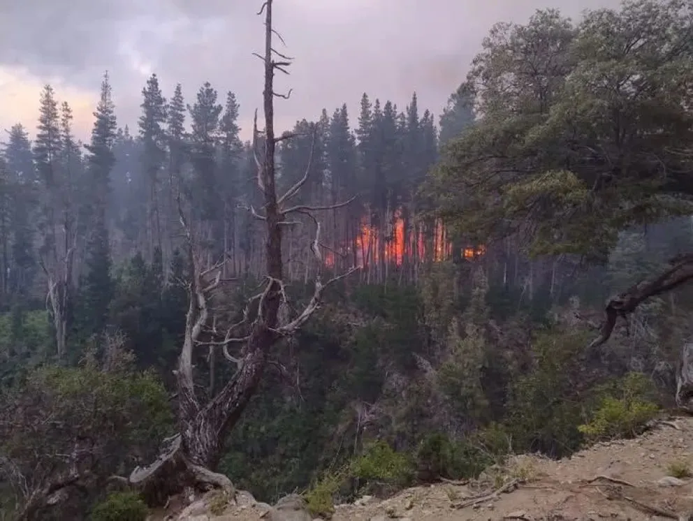 Piden donaciones para los brigadistas y quienes están combatiendo el fuego. Foto (Prensa Parques Nacionales)