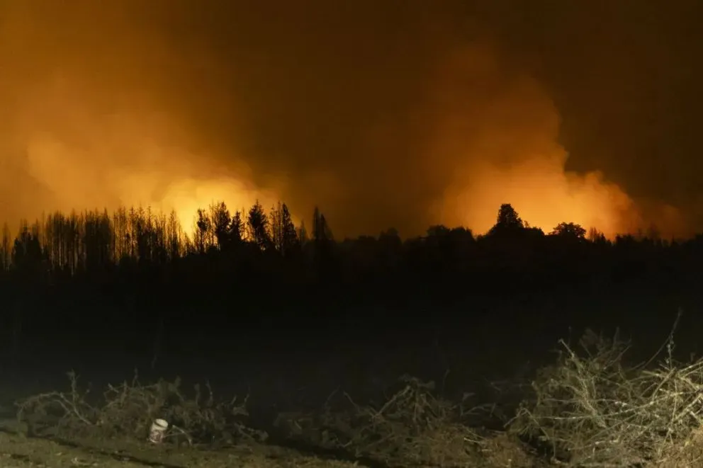 La justicia dispuso la liberación de 6 personas acusadas por los incendios intencionales en El Bolsón: Foto (Eugenia Neme)