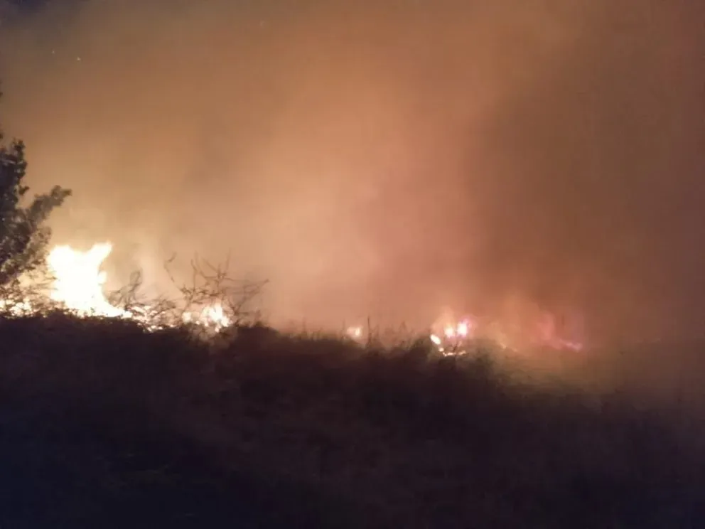 Al desastre que sucede en El Bolsón con los incendios, se sumó un foco de fuego en Bariloche. Foto (Gentileza)
