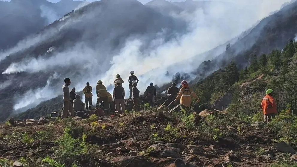 Los combatientes en plena tarea de lucha contra el fuego.