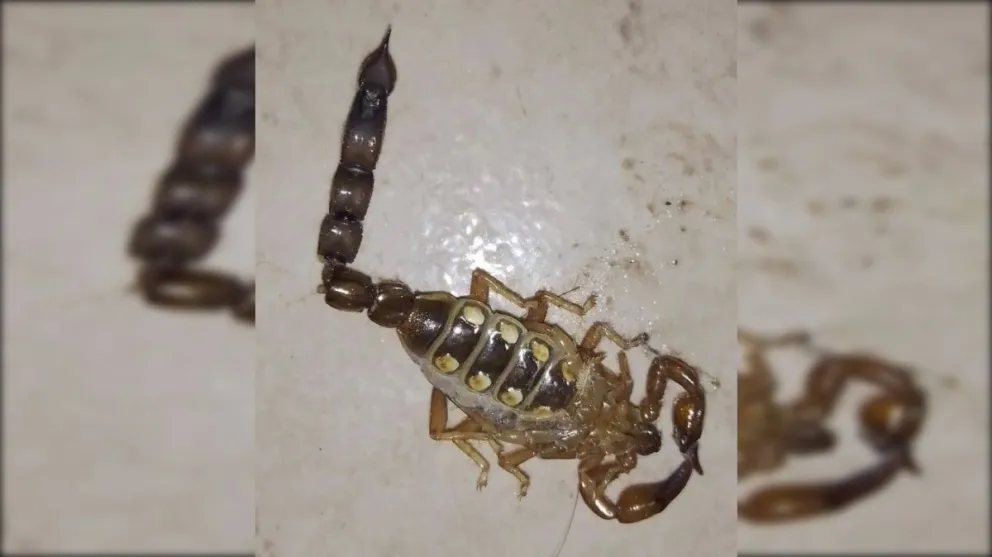 El Ministerio de Salud dio recomendaciones (Foto: gentileza lector LCR)
