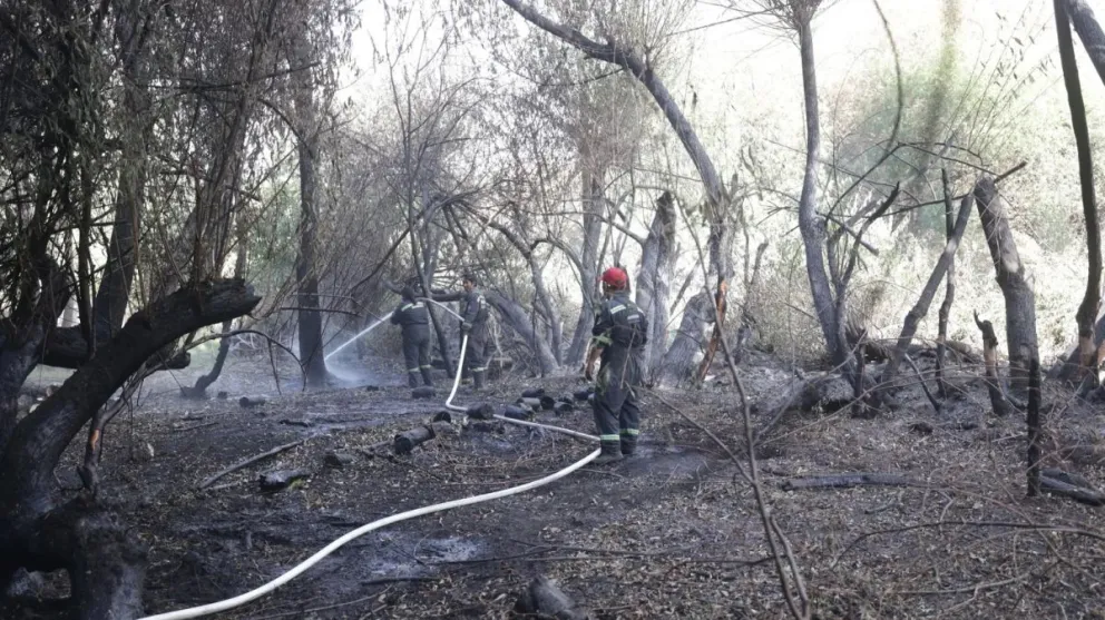 Combatientes trabajan en terrenos de difícil acceso para enfriar el borde del incendio en El Bolsón
