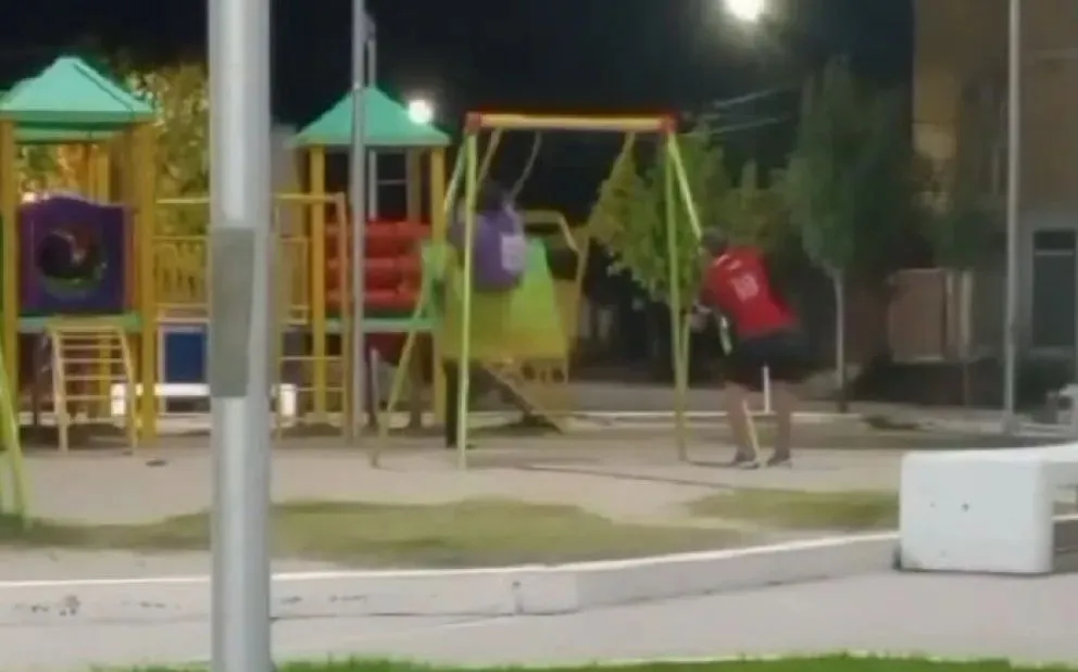 Los jóvenes fueron filmados haciendo uso indebido de la hamaca. (Imagen de video)
