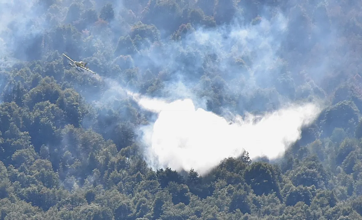 La afectaci&oacute;n en zonas productivas es alt&iacute;sima. Foto (Gentileza).