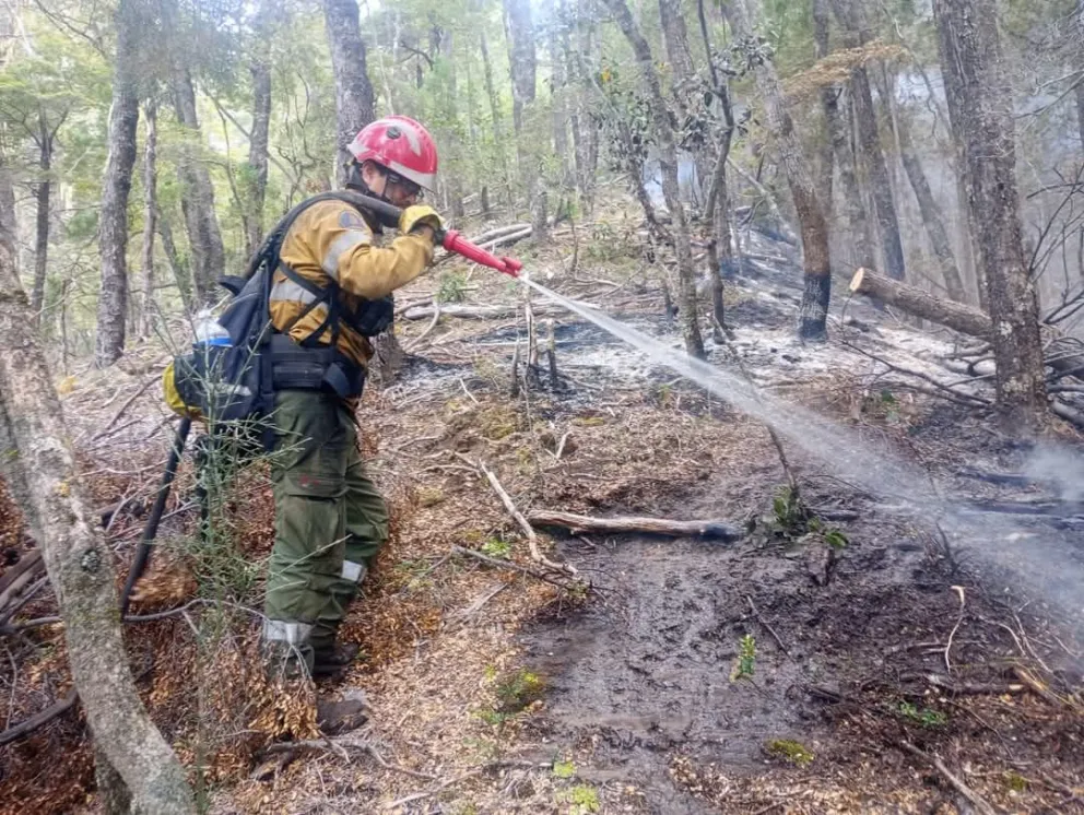 Las brigadas continúan enfocadas en el enfriamiento y en la guardia de cenizas
