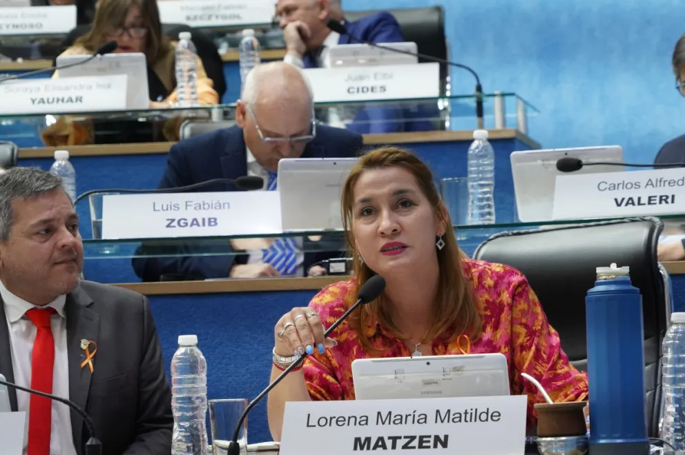 La legisladora radical respaldó la postura del gobernador Weretilneck (Archivo).