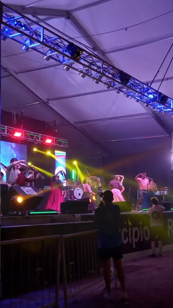 En la globa de artistas regionales se presentaron numerosas bandas de &eacute;xito. Foto (Tania Domenicucci-ANR).