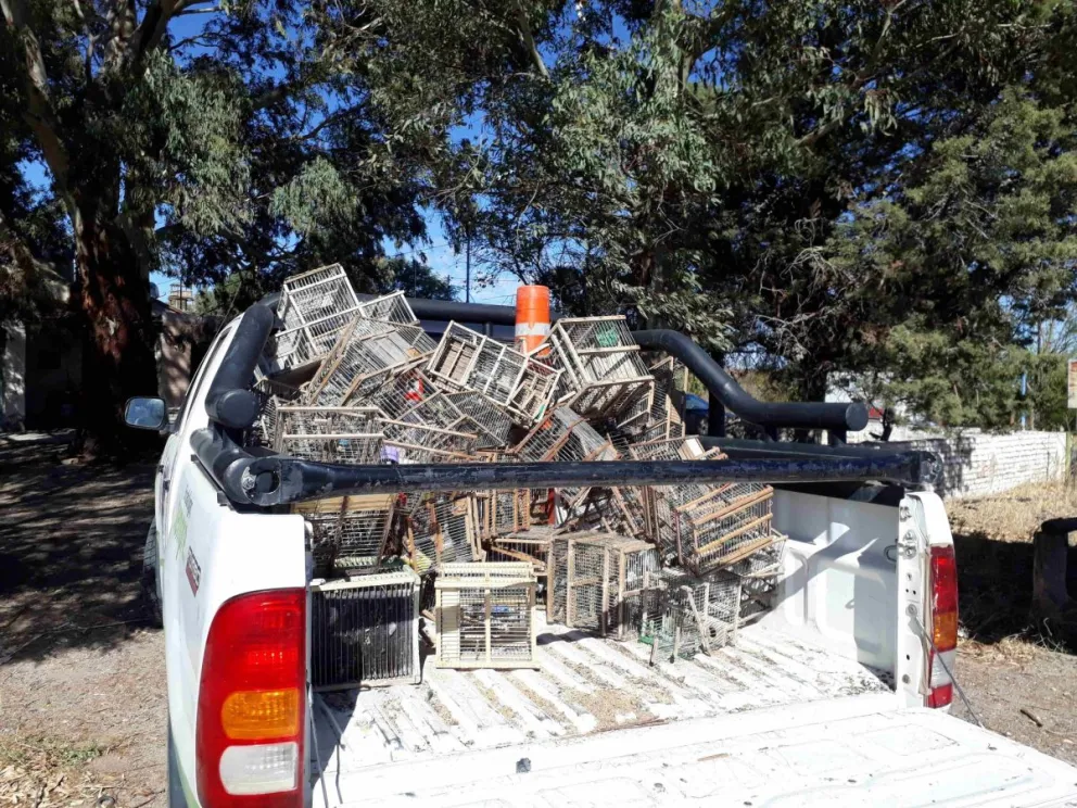 “Condena con gusto a poco, pero condena al fin” expresaron desde la Fundación Guardafaunas Honorarios. (Foto gentileza)