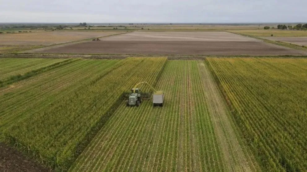 Productores con la mirada puesta a los créditos bancarios.
