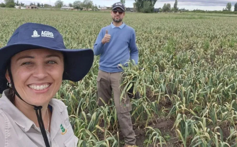 La combinación de biotecnología y producción orgánica impulsa la eficiencia en el agro (Agro Sustentable).
