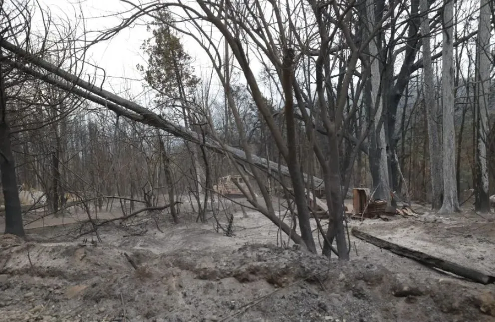 El fuego retrocede, y queda al desnudo la destrucción.