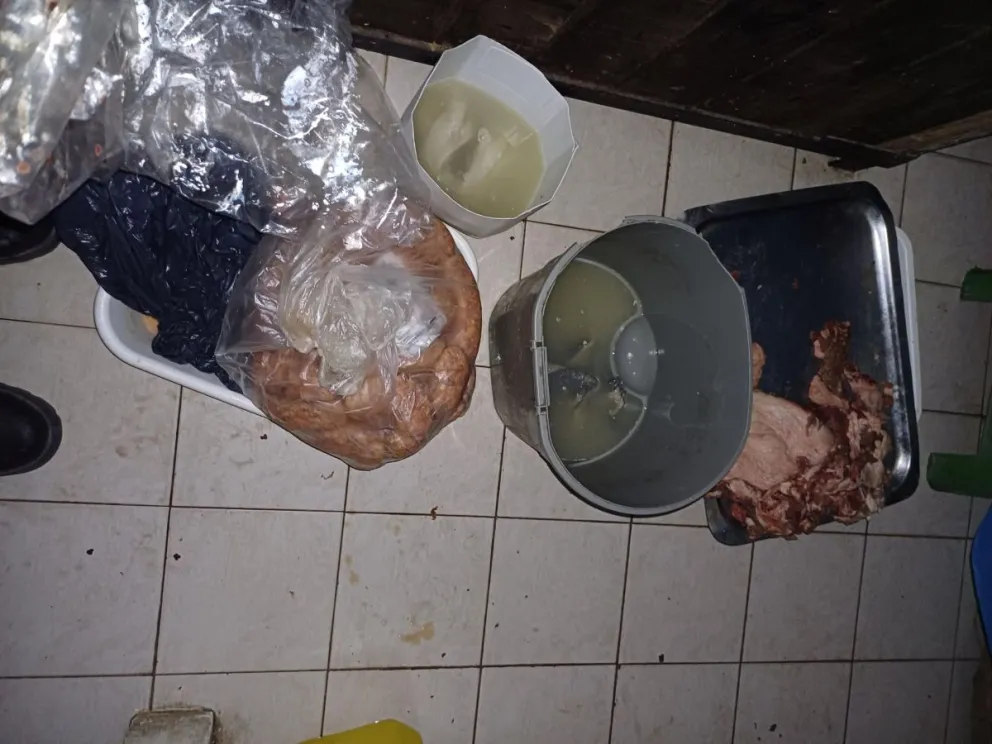 Los trabajos de rutina fueron realizados en distintos locales de a ciudad. (Foto Municipio de Roca)