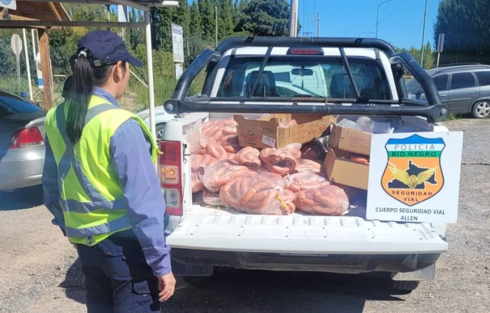 Los efectivos procedieron a decomisar la carga y a labrar la multa correspondiente. (Foto Policía de Río Negro)