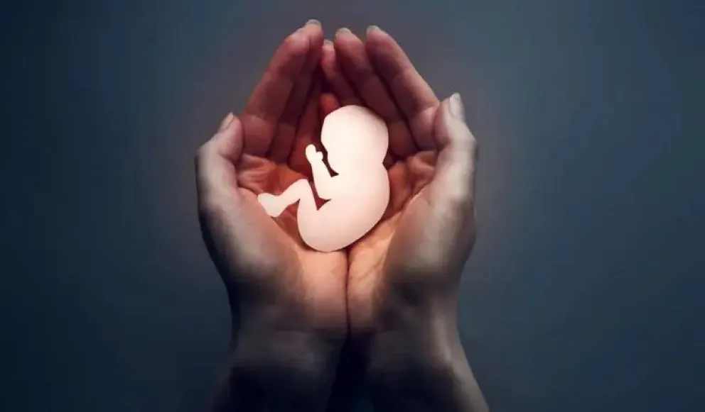 Buscan asegurar un acompañamiento integral para las personas gestantes y sus familias que atraviesan la pérdida de un bebé.