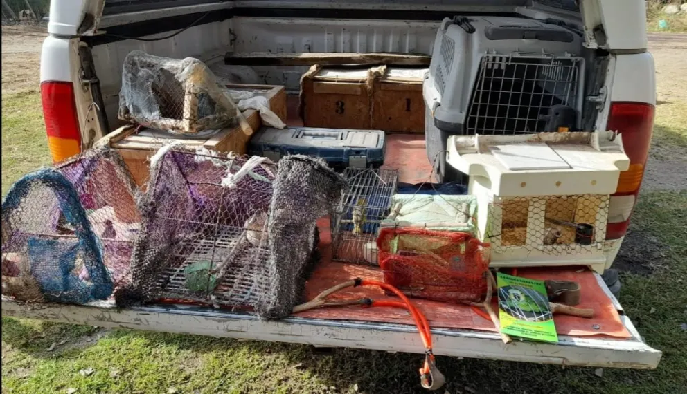 Se secuestraron jaulas y tramperas utilizadas para la captura de las aves. (Foto gentileza)