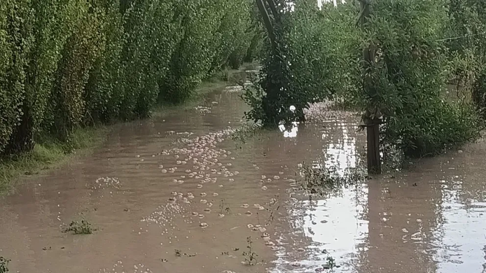 En algunas zonas, el granizo cayó durante varios minutos. Bomberos y personal municipal trabajan en las áreas más afectadas.(Fotos gentileza)