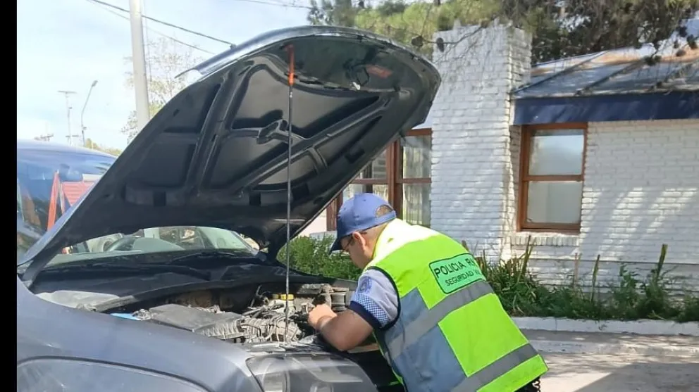 Un vehículo fue secuestrado y su conductor, imputado por falsificación. 
