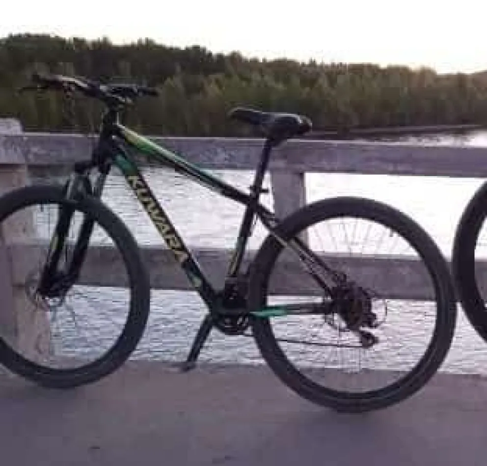 La bici de Nadina es una Kuwara rodado 29. 