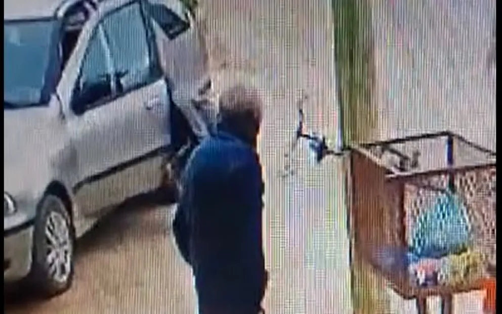 Dentro de la billetera había documentación que los dueños buscan recuperar. (Captura video)