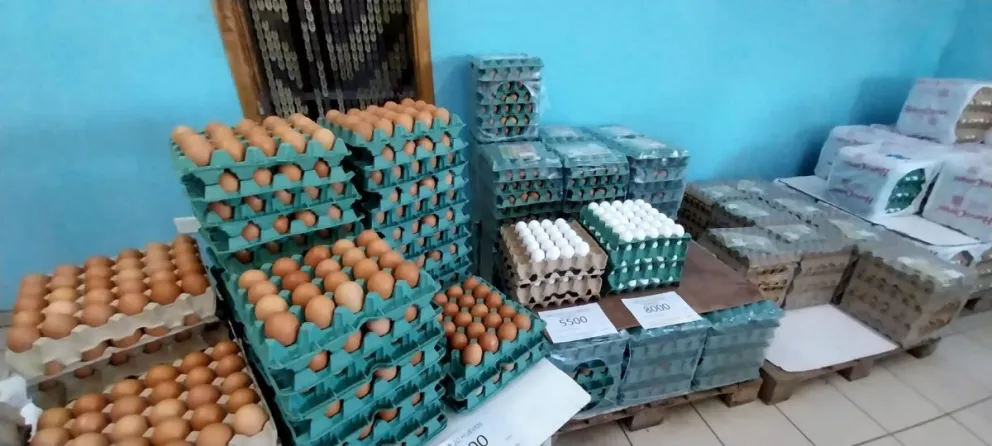 Blancos, castaños, chicos, medianos o grandes, las opciones de huevos en los comercios de Roca. 