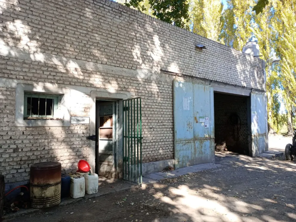 Destrozaron los candados y se llevaron el tractor . Además ingresaron a otras dependencias de la chacra. 