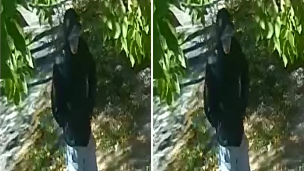 Un delincuente, que fue captado por las cámaras de seguridad. (Foto ANRoca)