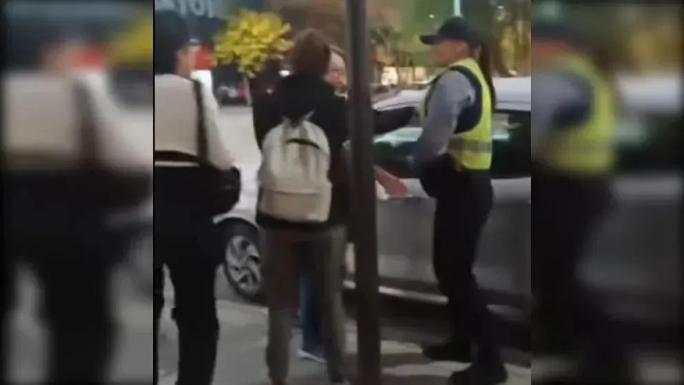 La mujer aseguró que la gata, Dina, no estuvo en peligro (imagen gentileza)