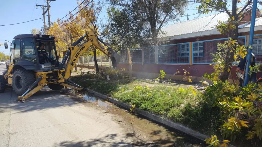 El inconveniente se manifestó con mayor intensidad a principios de marzo. (Foto gentileza)