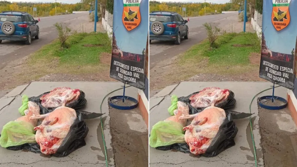 Decomiso e incineración de la carne ovina, de un peso total de 50 kilos. (Foto gentileza)