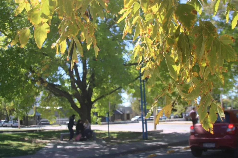 Durante el sábado el día se mantendrá soleado con buenas temperaturas. (Foto Tania Domenicucci-ANR)