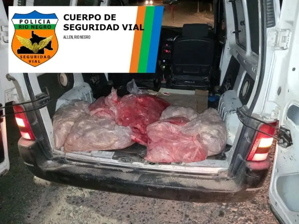 La policía de Allen intervino en el decomiso de achuras. (Foto gentileza)