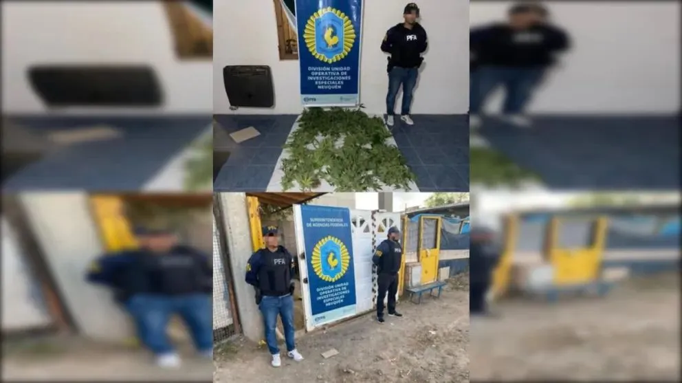 Hay tres personas imputadas por el comercio ilegal. (Foto gentileza)