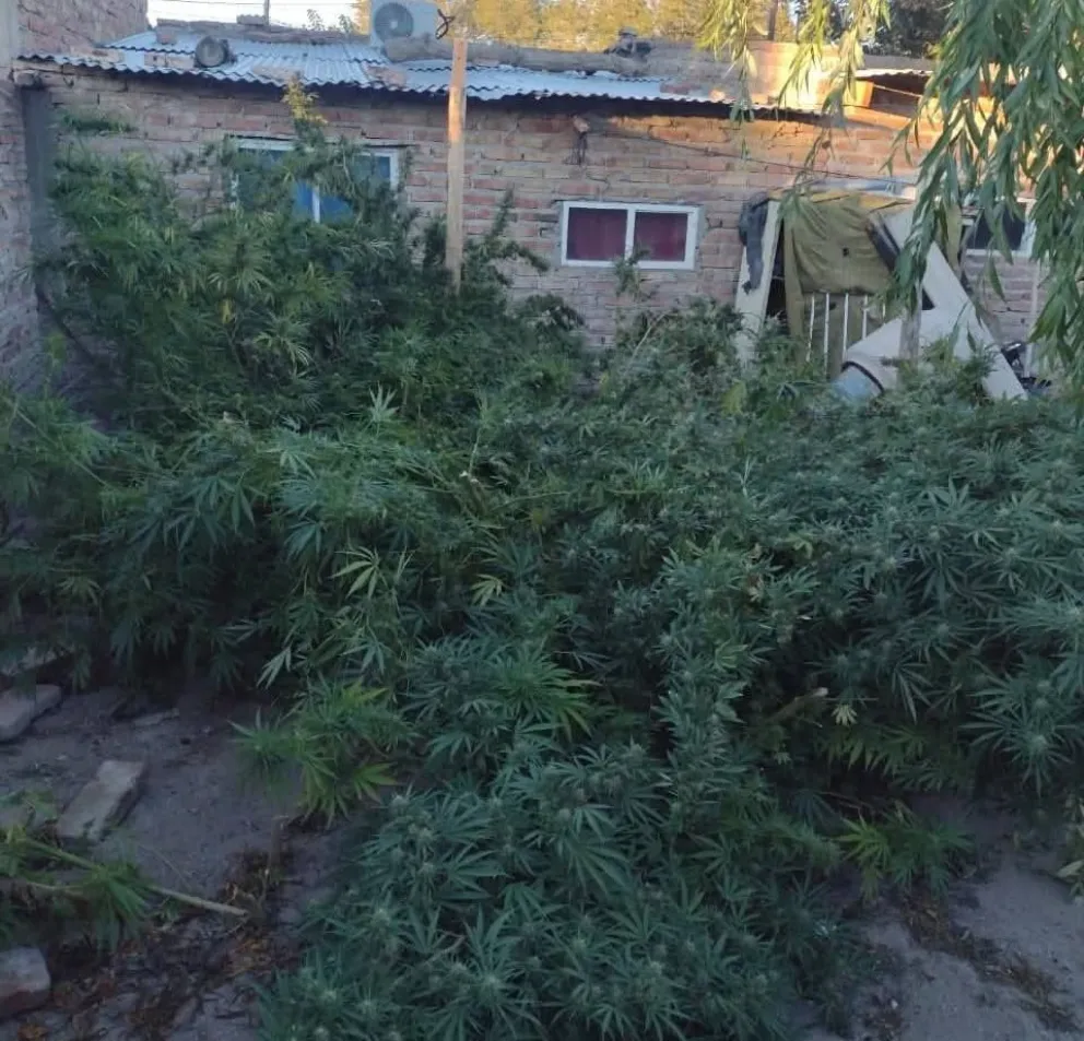 Trabajo en conjunto con la Justicia Federal y la Policía de Río Negro. (Foto gentileza)