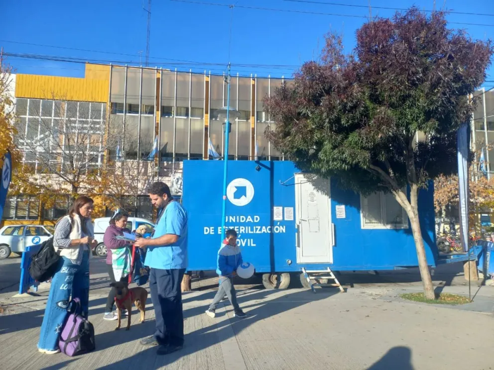 Las actividades continuarán durante la tarde enfrente al Municipio. Foto: (Tania Domenicucci - ANRoca)
