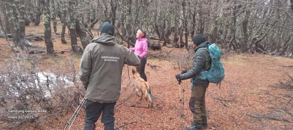 Fueron ubicadas hace algunas horas en la búsqueda.