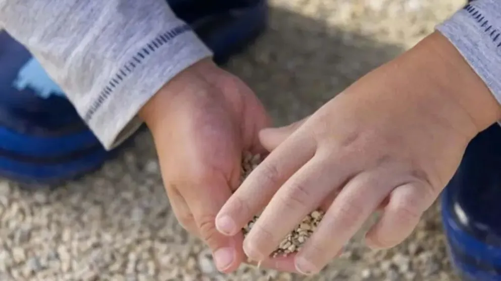 La menor se encuentra en buen estado de salud. 