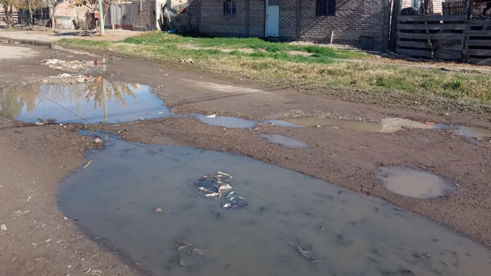 La perdida recorre varias cuadras del barrio. (Fotos ANRoca)