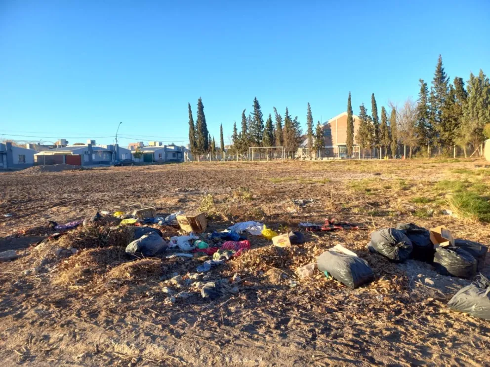 La postal que se repite en varios sectores de Roca. Foto: (Tania Domenicucci - ANRoca)