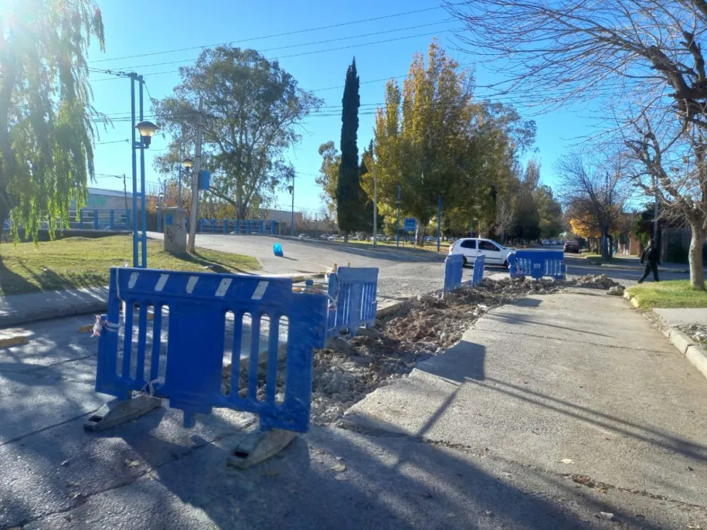 El tránsito se encuentra interrumpido en gran parte de la vía. Foto: (Tania Domenicucci - ANRoca)
