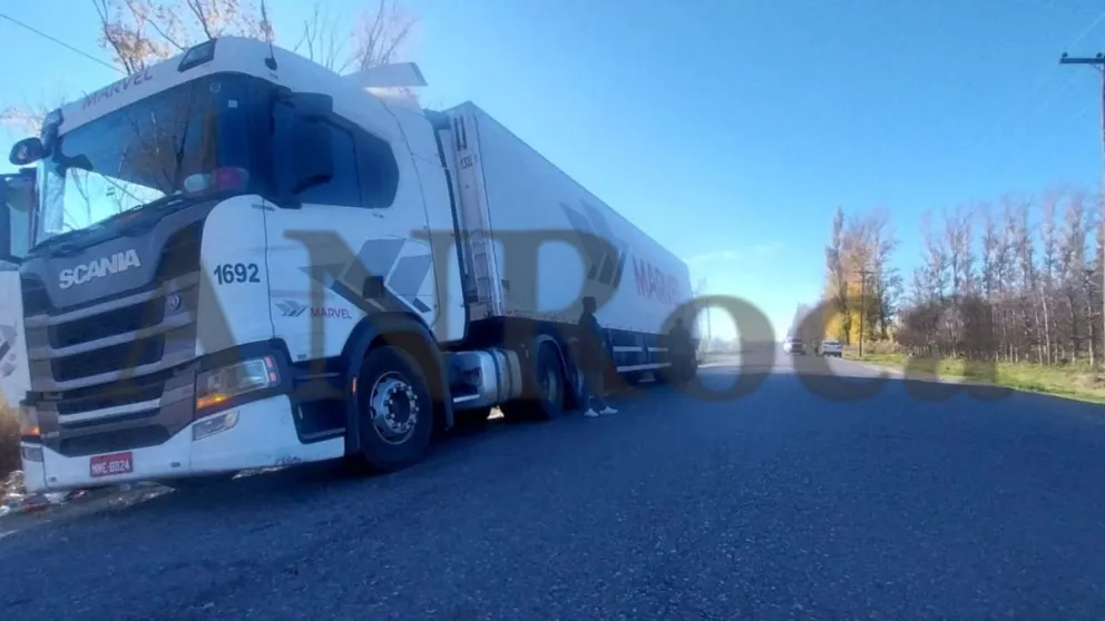 El vehículo había cargado fruta en el Alto Valle y tenía como destino Brasil. (Foto ANRoca)