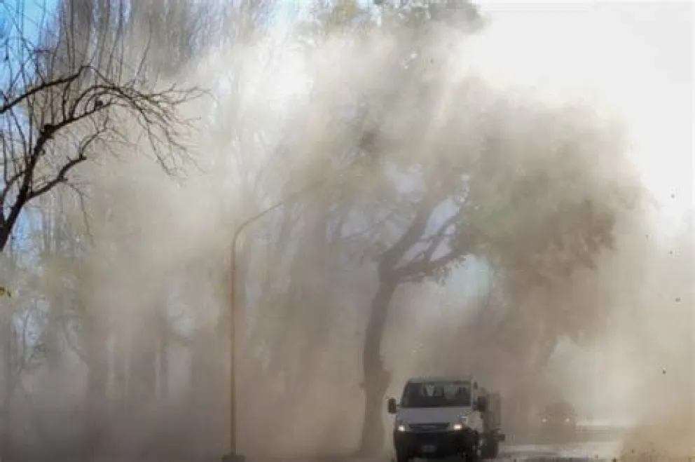 Ráfagas de viento en el Alto Valle pueden superar los 90 km/h, según el SMN. Foto (ANR)
