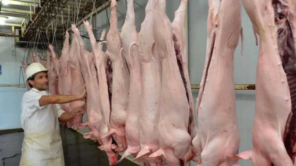 Cuando se consume carne de cerdo se  debe cocinar hasta que desaparezca el color rosado y que al corte las fibras se separen fácilmente.