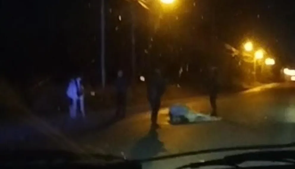 La yegua estaba preñada y  quedo tendida en el asfalto, a pocos metros terminó herido el motociclista. 