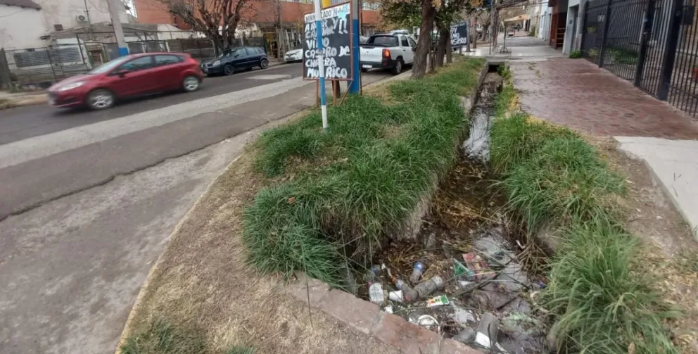 En Mendoza, a lo largo de la acequia, los residuos se encuentran estancados. Foto: (Tania Domenicucci - ANRoca)
