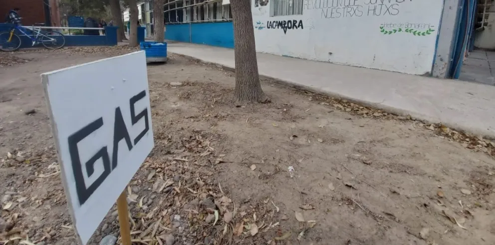 Uno de los sectores de la Fadecs donde se realizaron los trabajos. Foto: (Tania Domenicucci - ANRoca)
